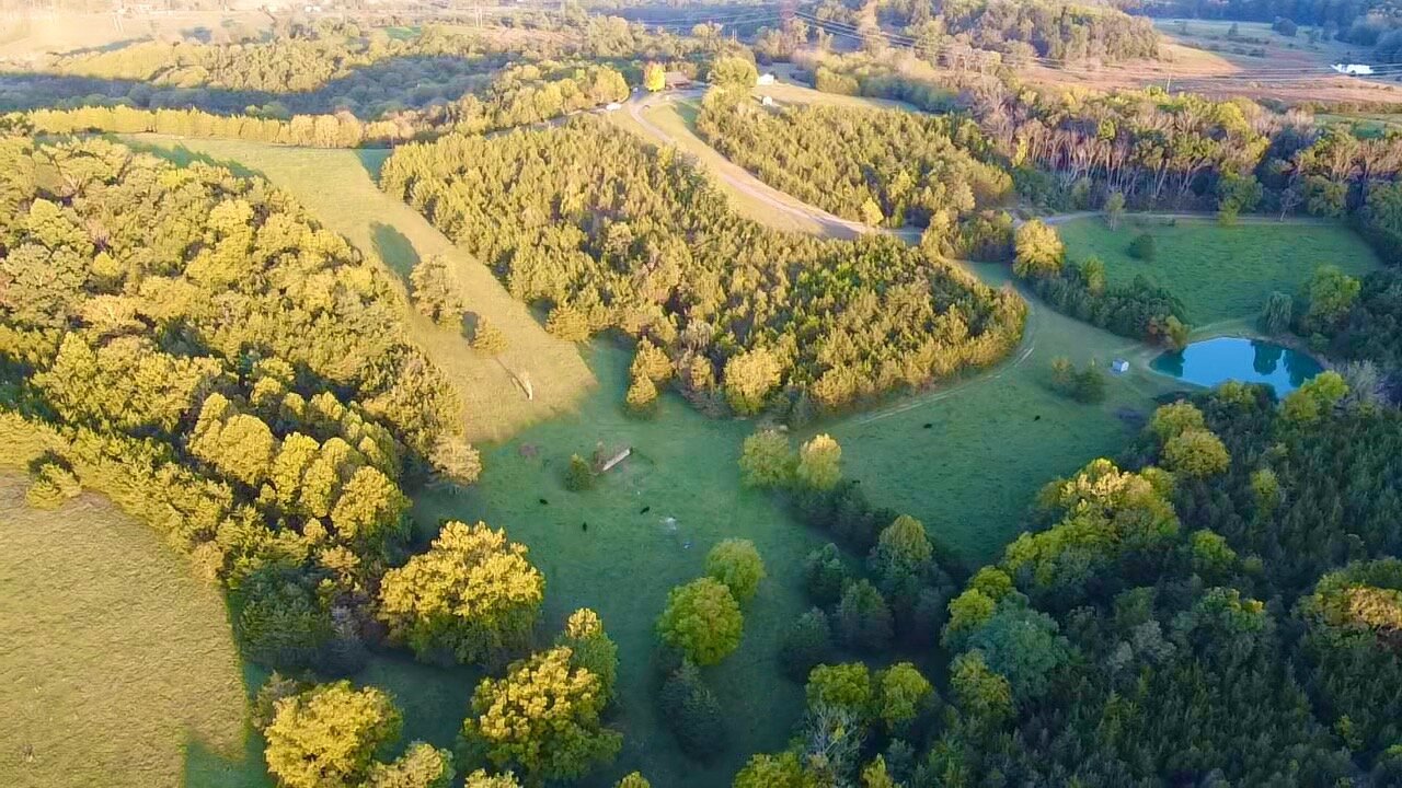 Image for 2 BR/2 BA Home on 138.8 +/- Acres w/Detached Garage/1 BR/1 BA Cottage, Barn, Pond, Majestic Mountain Views & More--Augusta County, VA