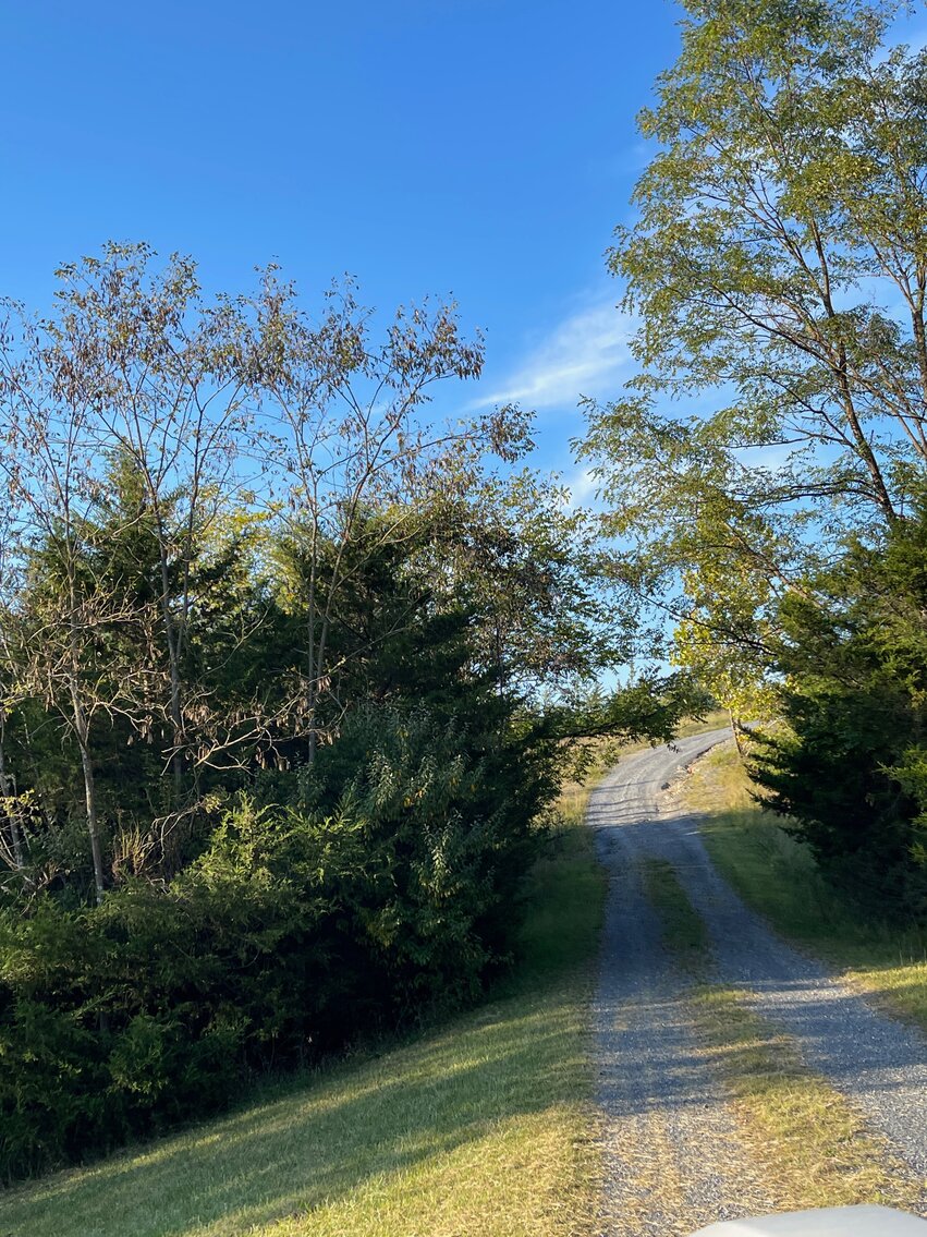 Image for 2 BR/2 BA Home on 138.8 +/- Acres w/Detached Garage/1 BR/1 BA Cottage, Barn, Pond, Majestic Mountain Views & More--Augusta County, VA