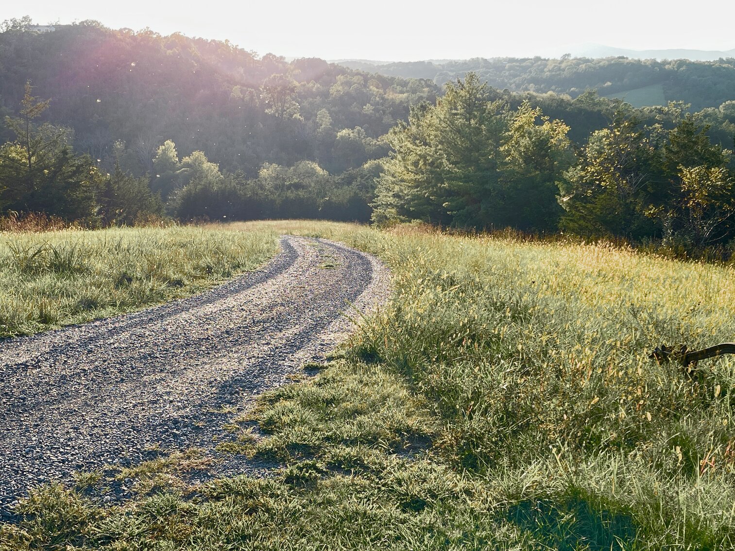 Image for 2 BR/2 BA Home on 138.8 +/- Acres w/Detached Garage/1 BR/1 BA Cottage, Barn, Pond, Majestic Mountain Views & More--Augusta County, VA