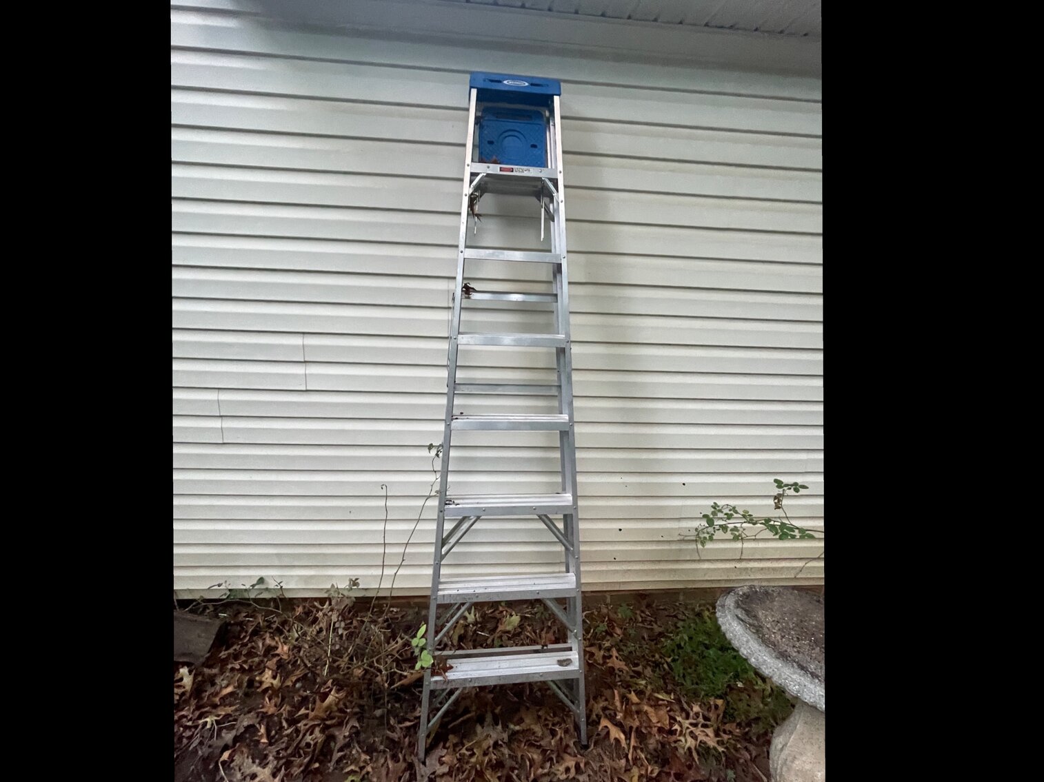 Stepladder 
