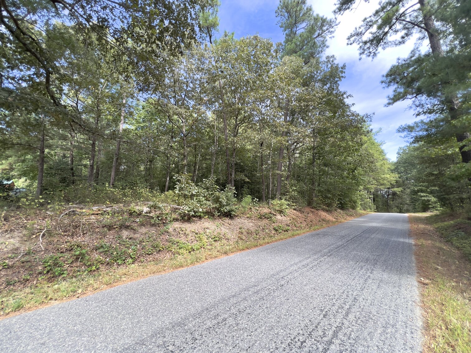 Image for Essex County, VA Tax Delinquent Sale of Real Estate