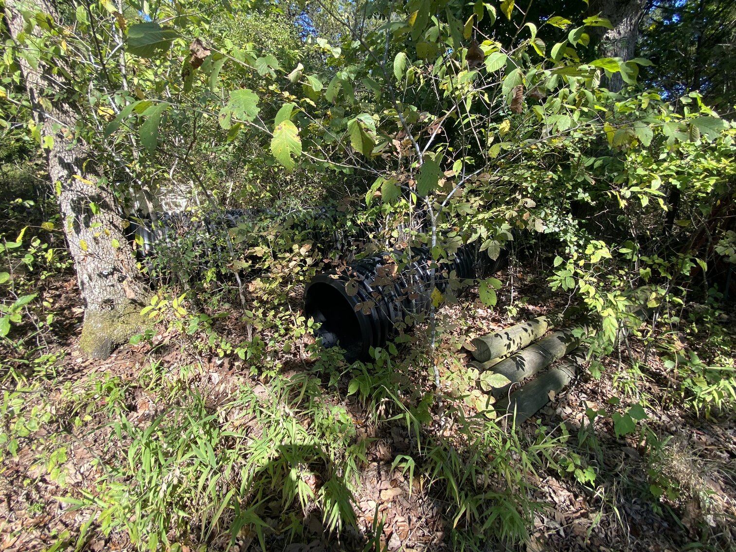 Image for Real Estate and Personal Property Auction | Saturday Oct 15th - SOLD - ENTIRE CANCELED AUCTION