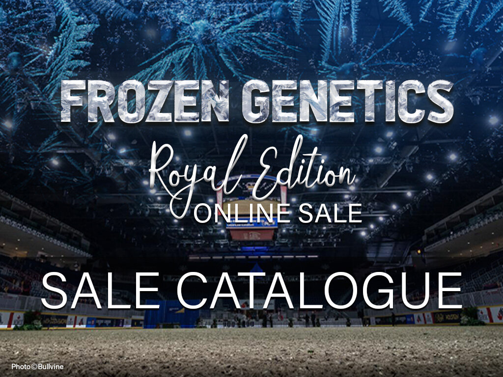 Sale Catalogue 