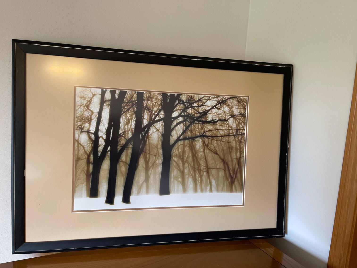 Tree Picture in Black Frame