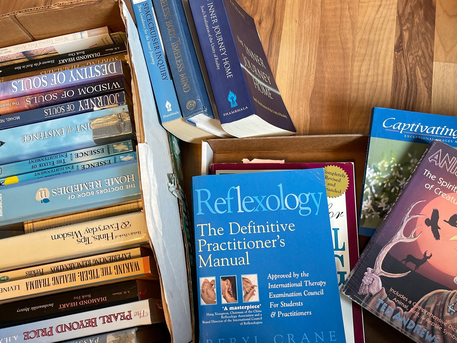 Home Remedy and Self Help Books