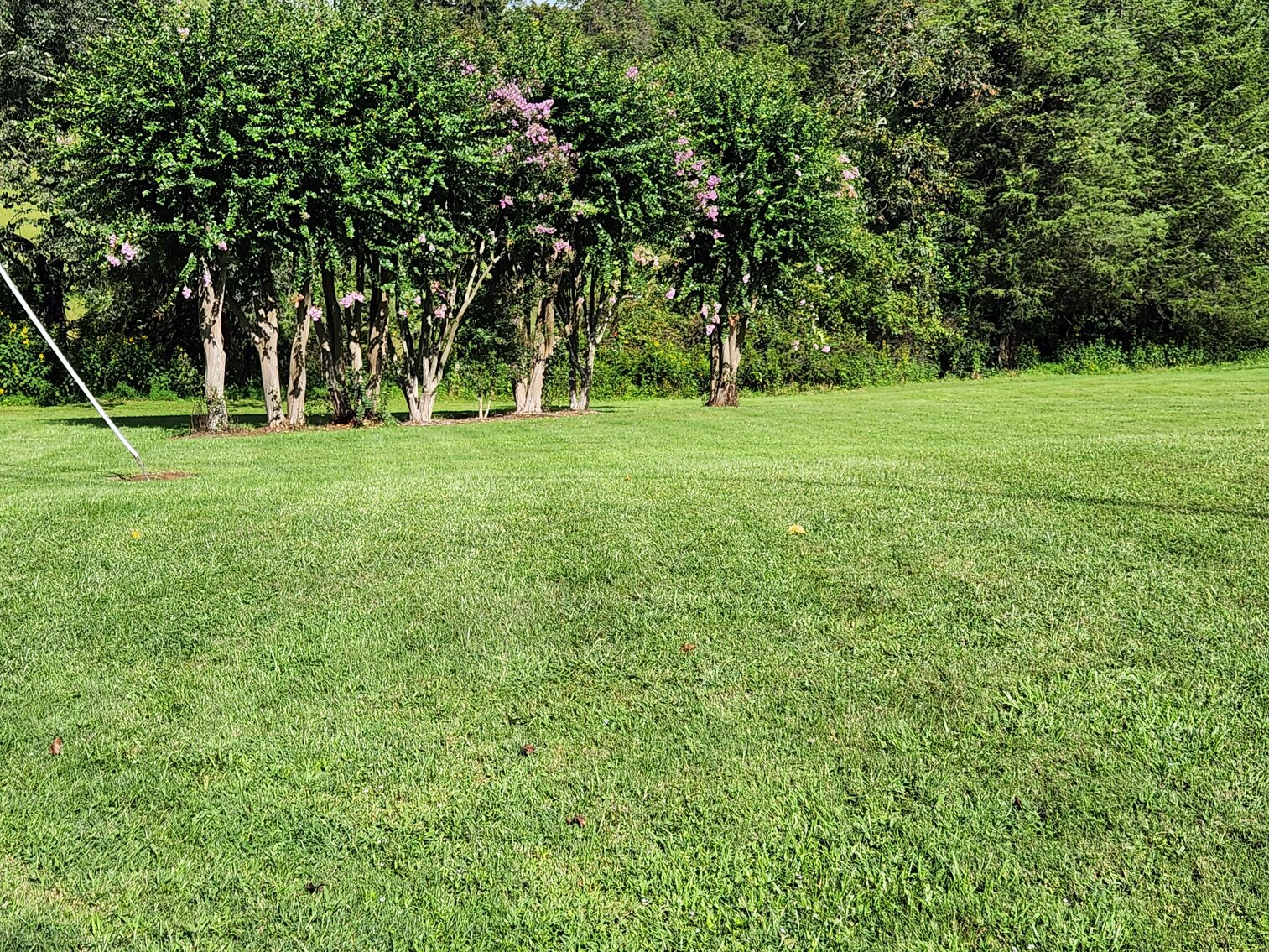 Image for Clarence Hall Estate Auction - Online Only