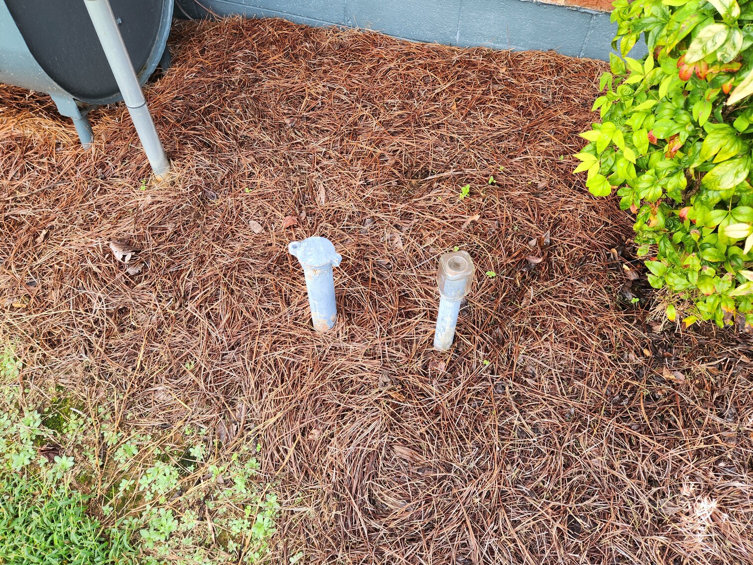 Image for Clarence Hall Estate Auction - Online Only