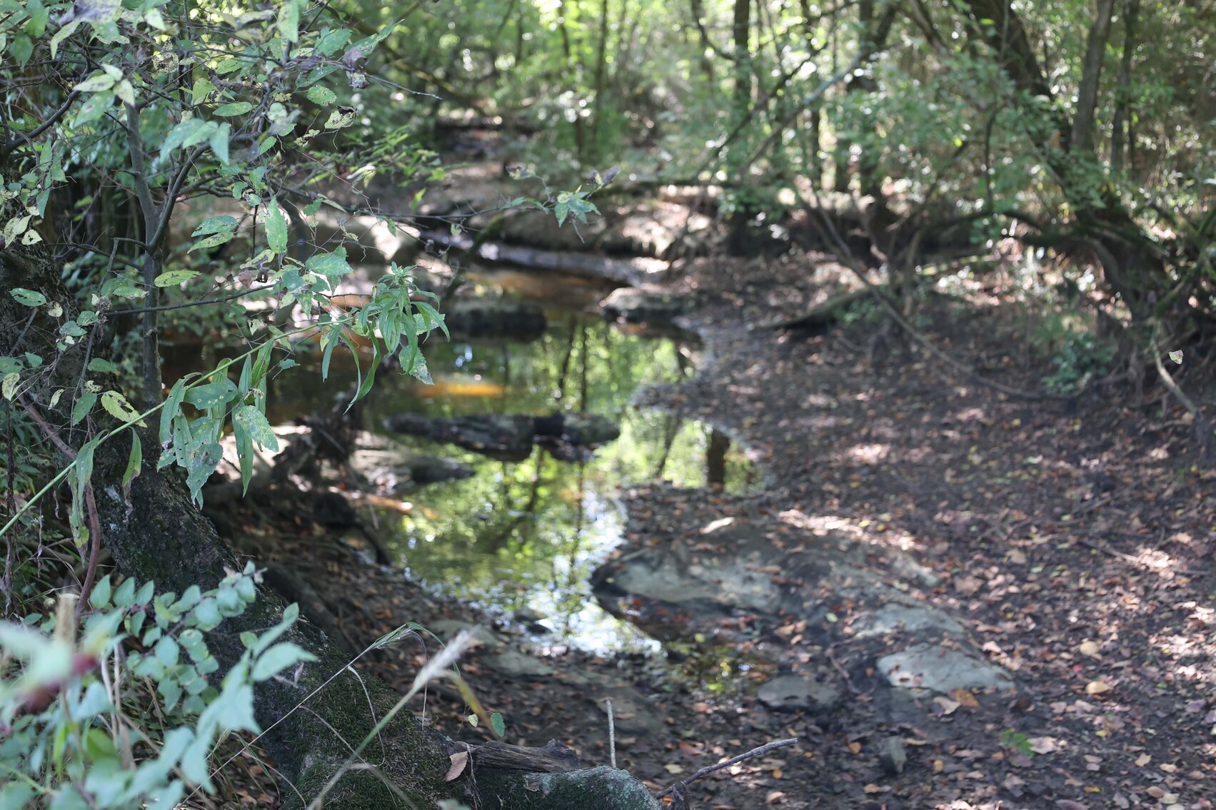 Image for 3333 Midland Fosterville Road, Bell Buckle