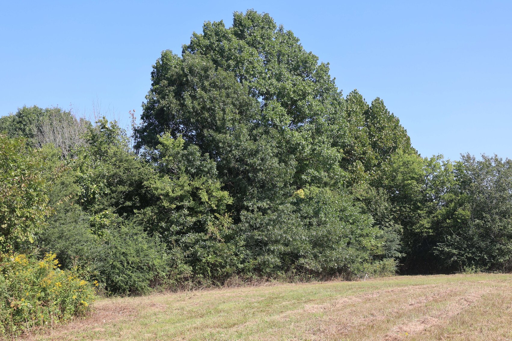 Image for 3333 Midland Fosterville Road, Bell Buckle