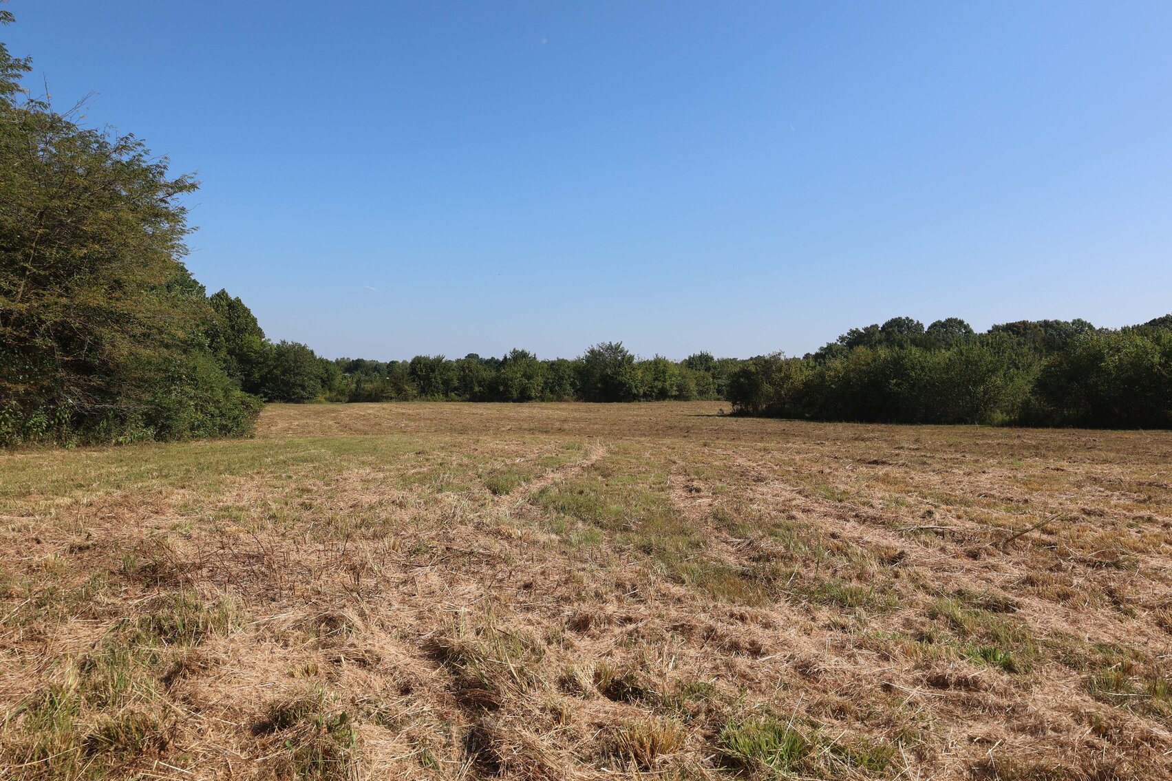 Image for 3333 Midland Fosterville Road, Bell Buckle