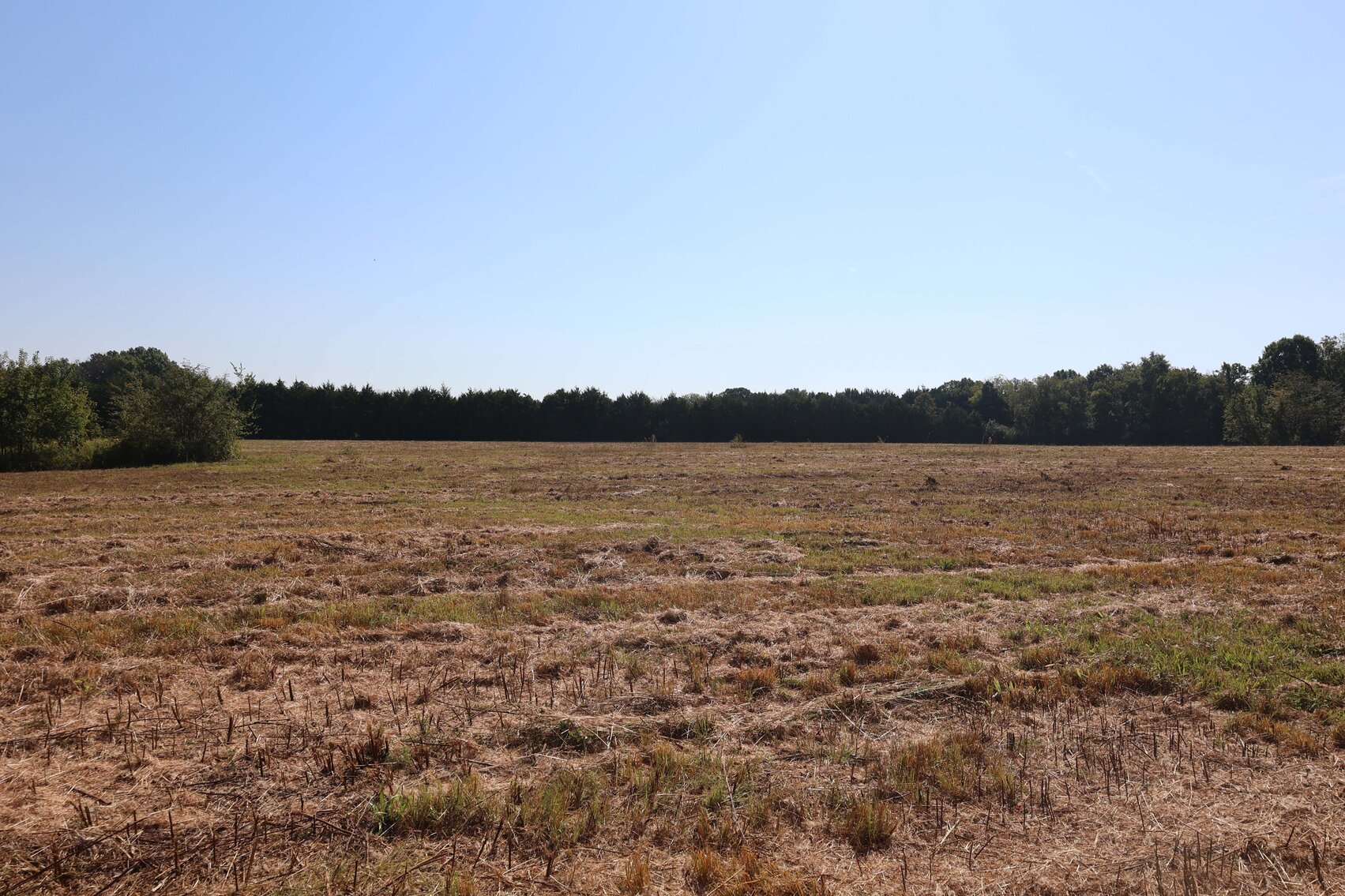 Image for 3333 Midland Fosterville Road, Bell Buckle