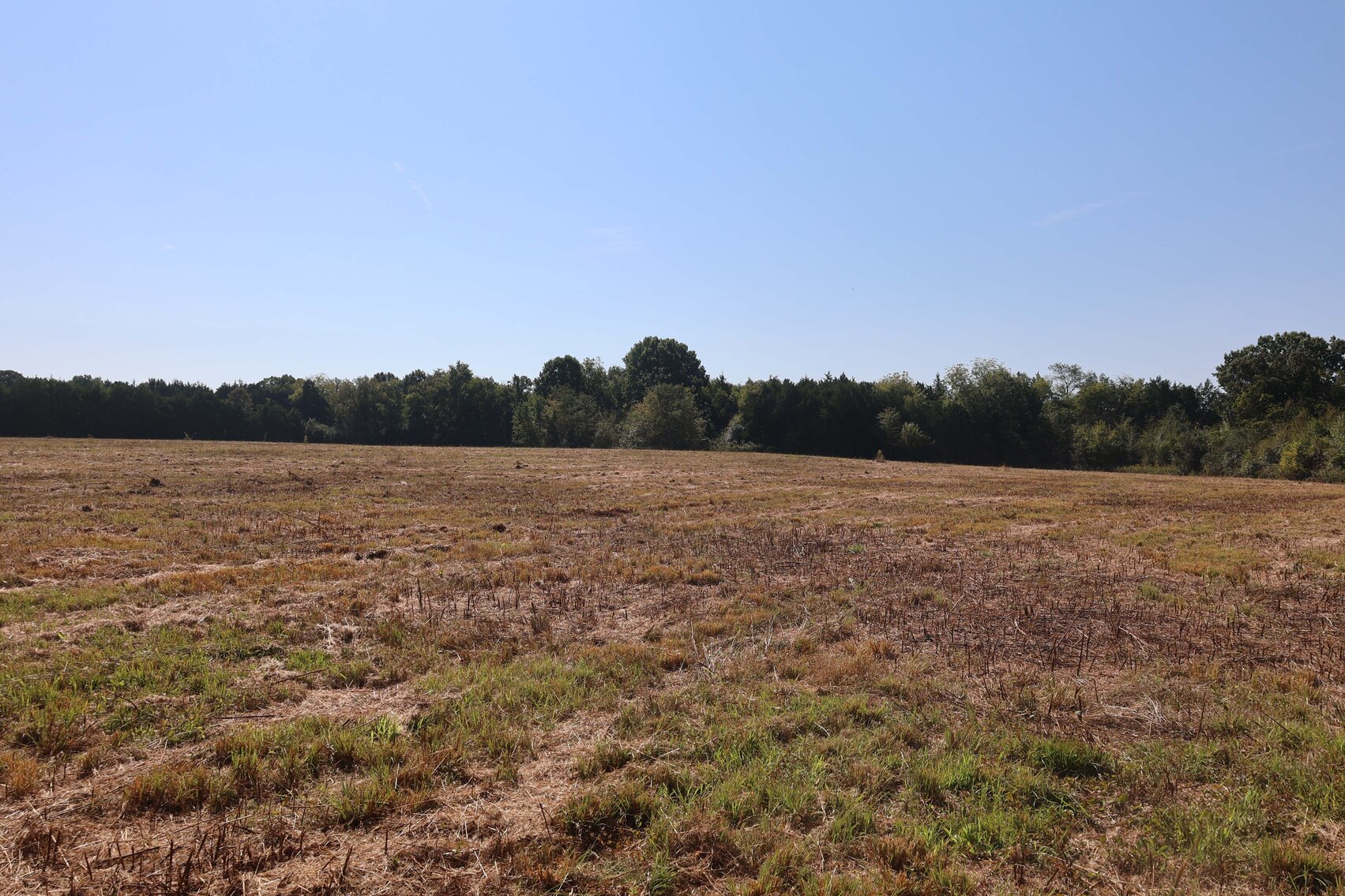 Image for 3333 Midland Fosterville Road, Bell Buckle