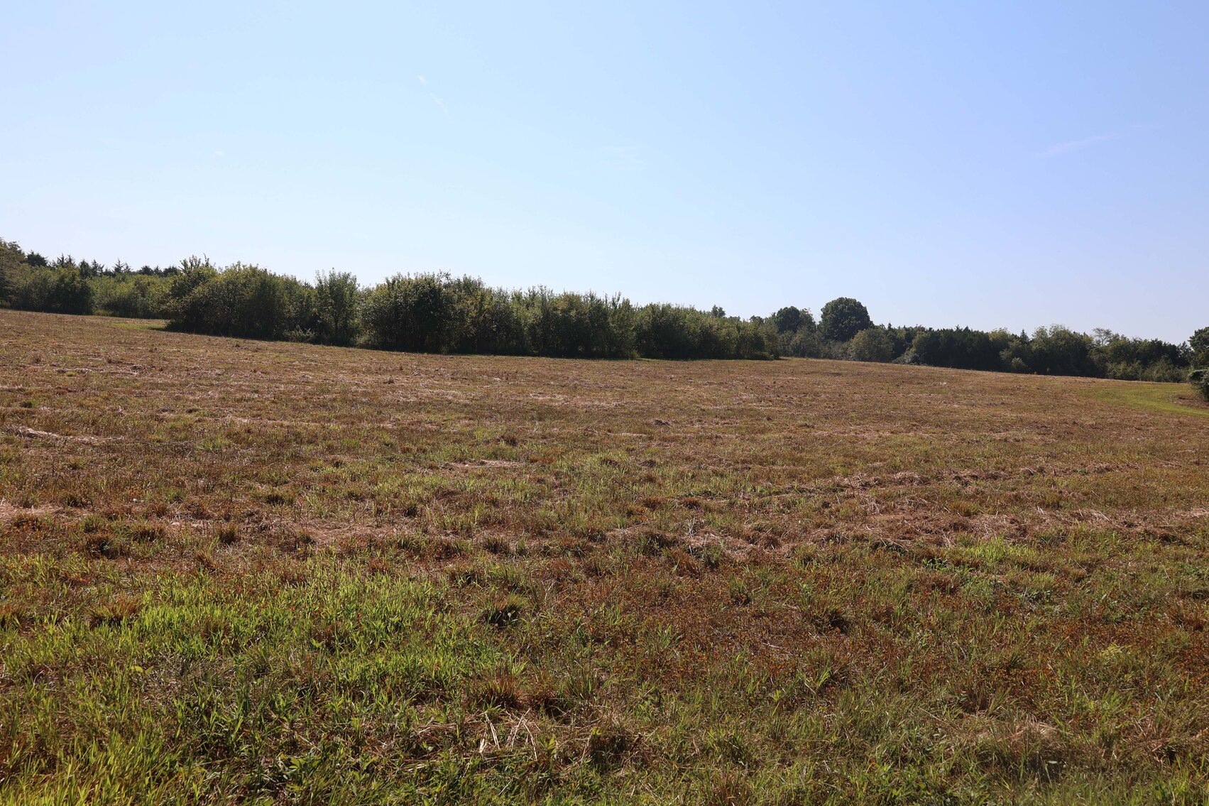 Image for 3333 Midland Fosterville Road, Bell Buckle