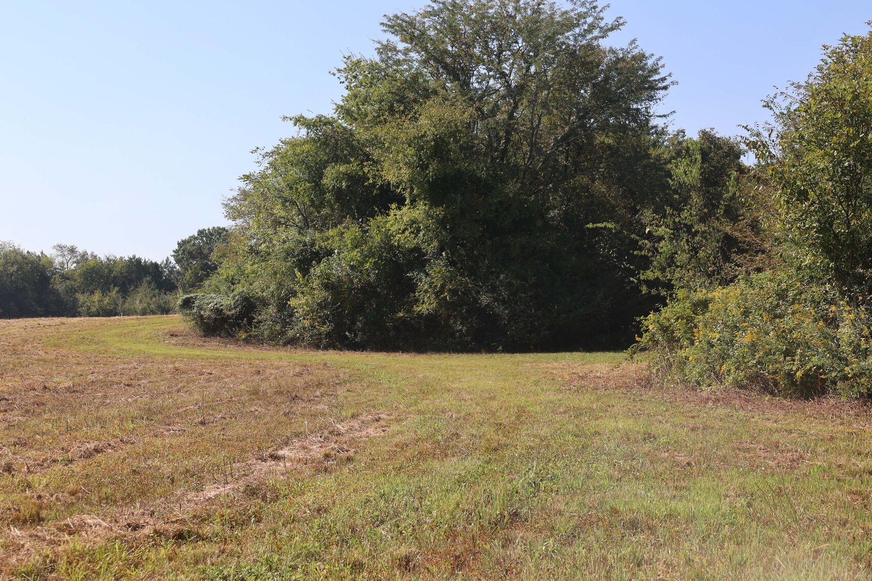 Image for 3333 Midland Fosterville Road, Bell Buckle