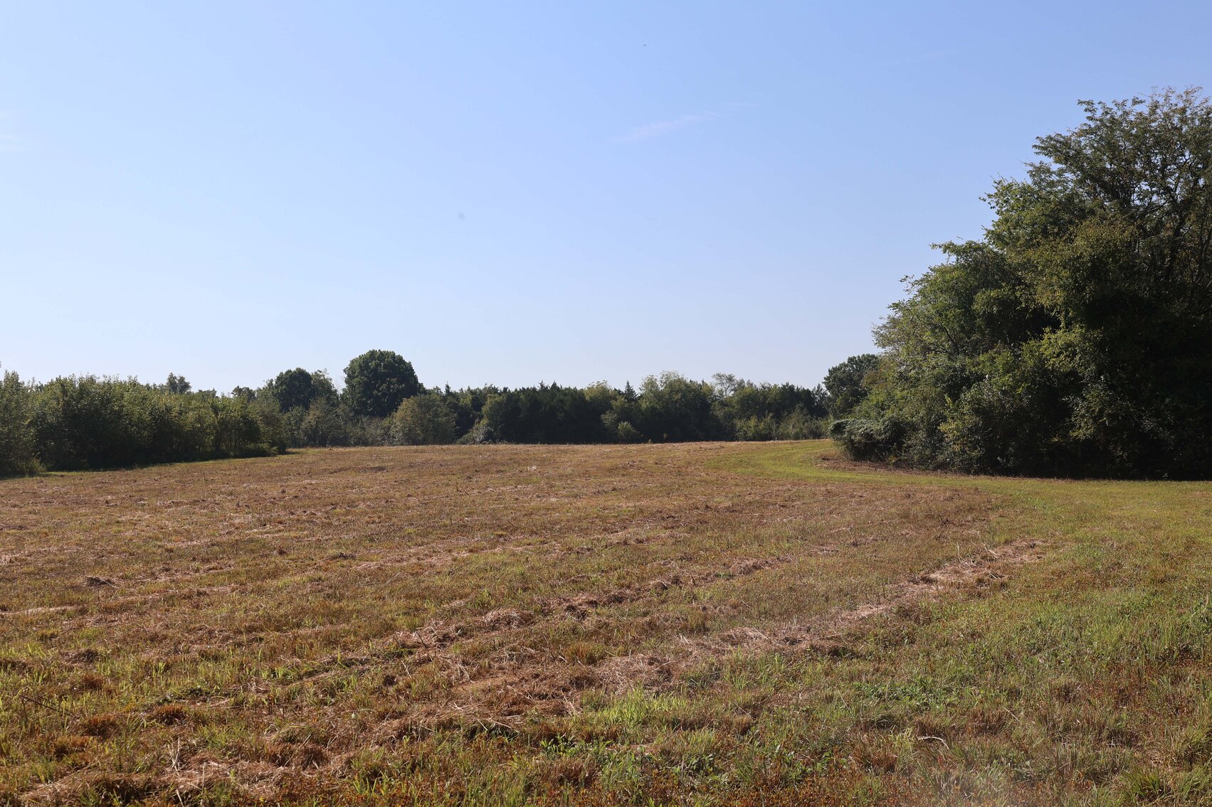 Image for 3333 Midland Fosterville Road, Bell Buckle