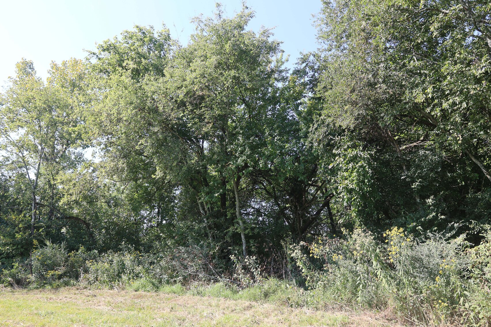 Image for 3333 Midland Fosterville Road, Bell Buckle