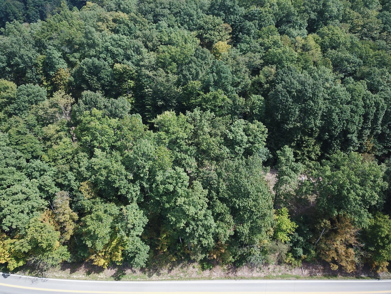 14+ Acres with Timber near Philippi