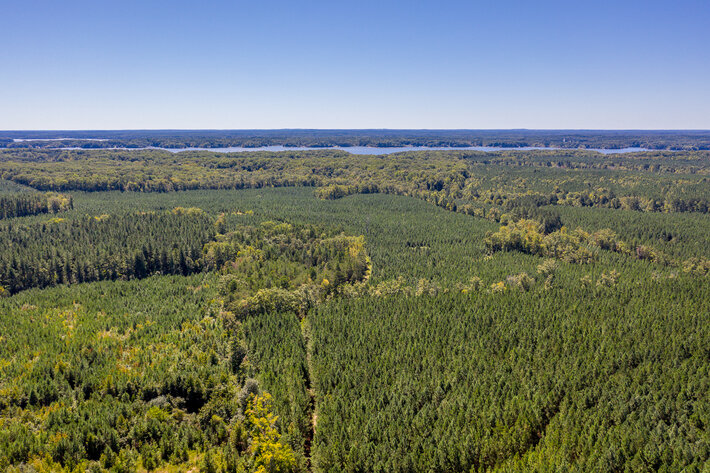 Image for 2 Major Auctions - The Clayton C. Callahan Estate - Real Estate Auction 1: 16 property's sold Absolute. Real Estate Auction 2: 1049 Trottingridge Rd sold with first right of refusal.  ***SALE ORDER HAS CHANGED***