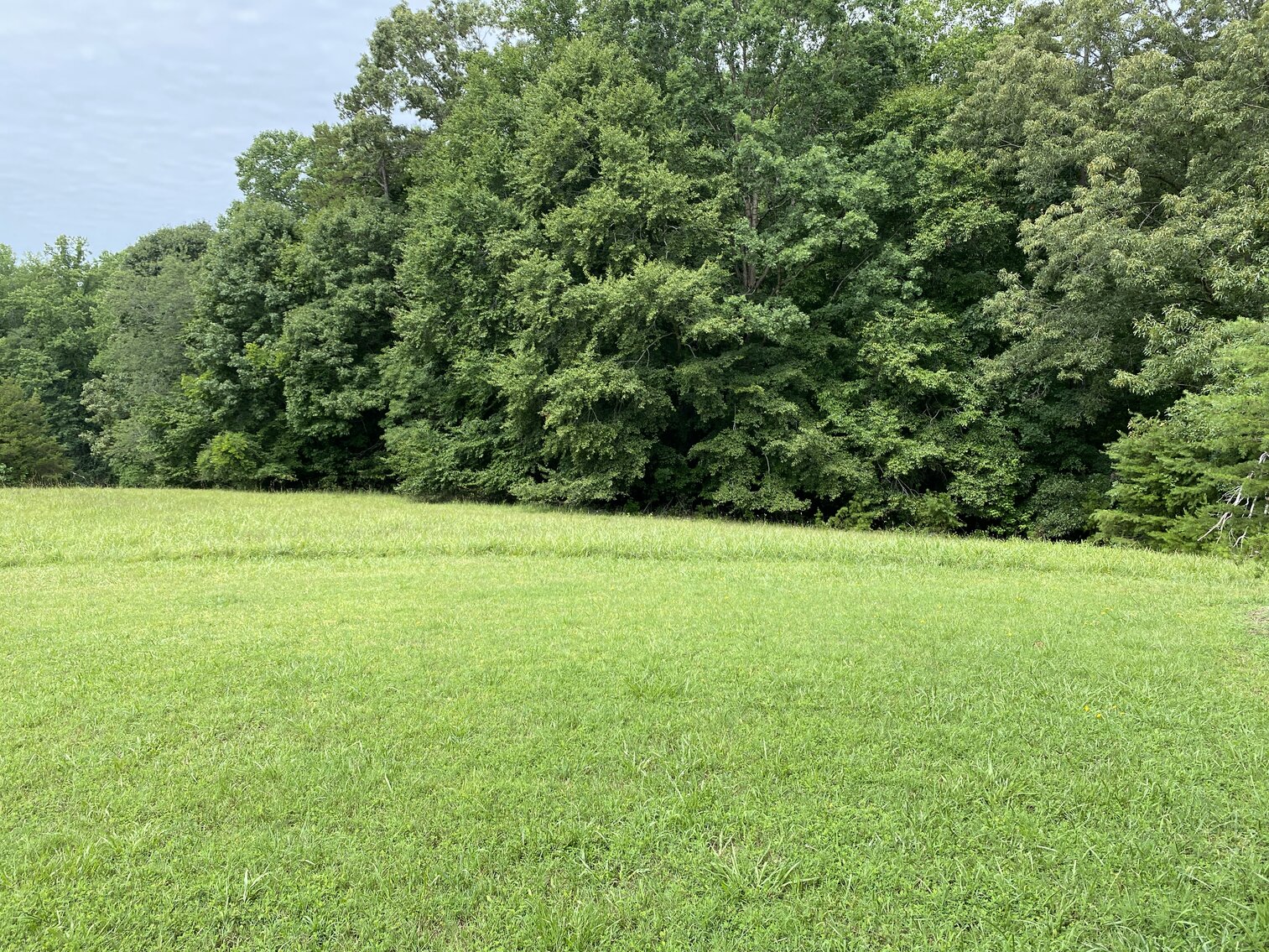 Image for Real Estate Auction - Lewisville, NC