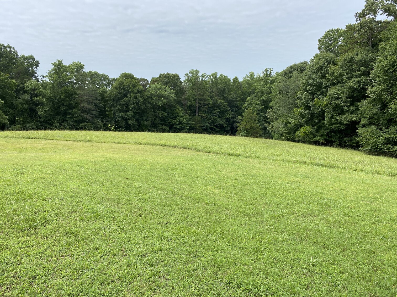 Image for Real Estate Auction - Lewisville, NC