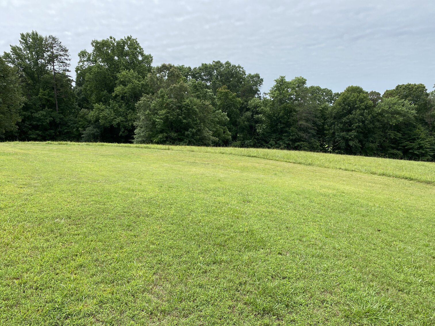 Image for Real Estate Auction - Lewisville, NC