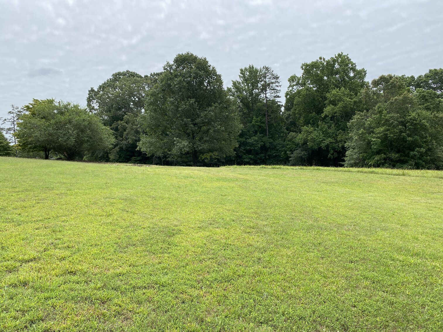 Image for Real Estate Auction - Lewisville, NC