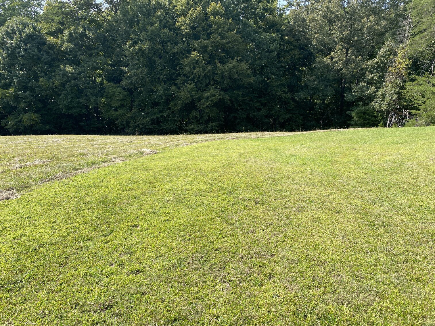 Image for Real Estate Auction - Lewisville, NC