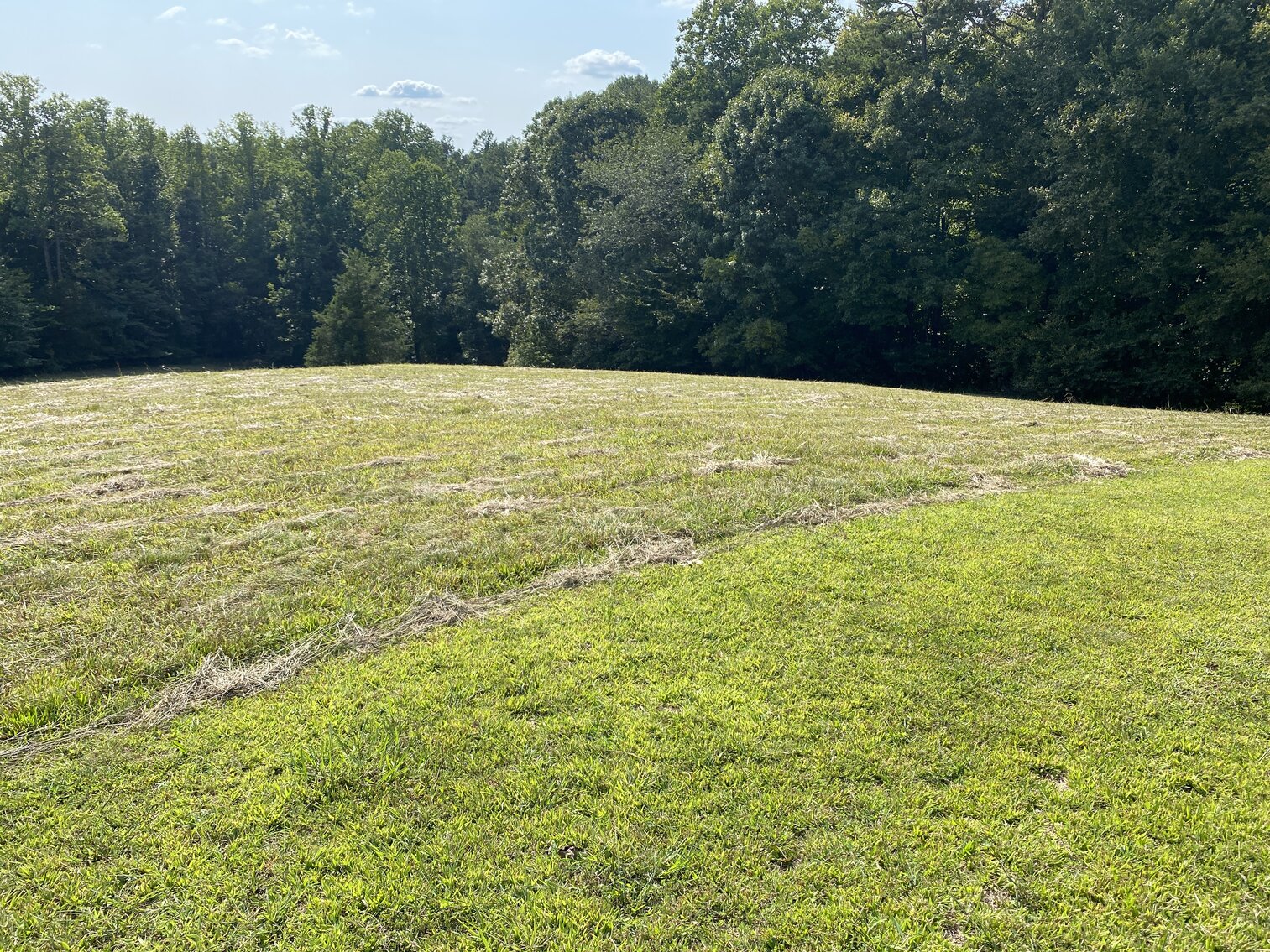 Image for Real Estate Auction - Lewisville, NC