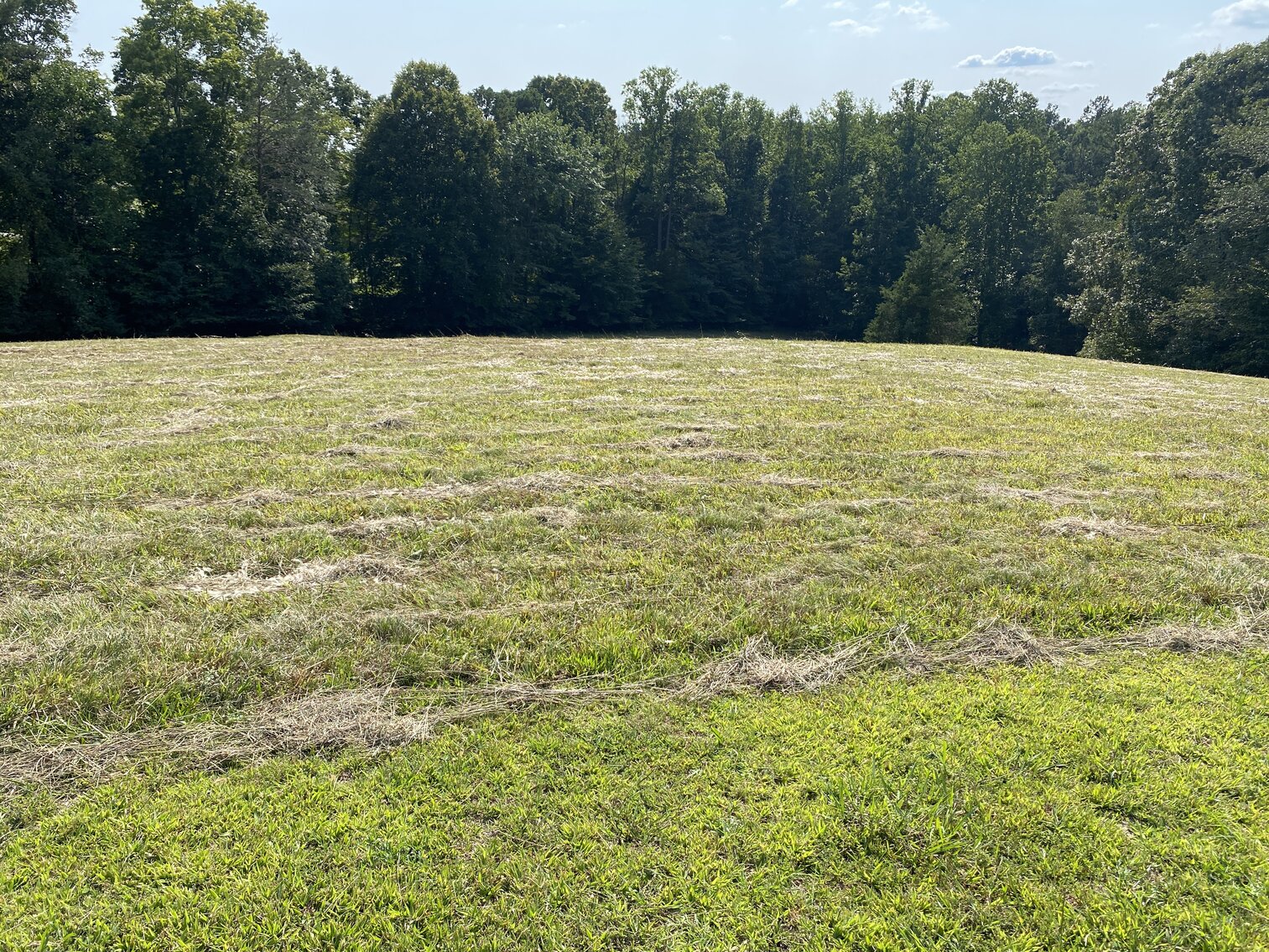 Image for Real Estate Auction - Lewisville, NC