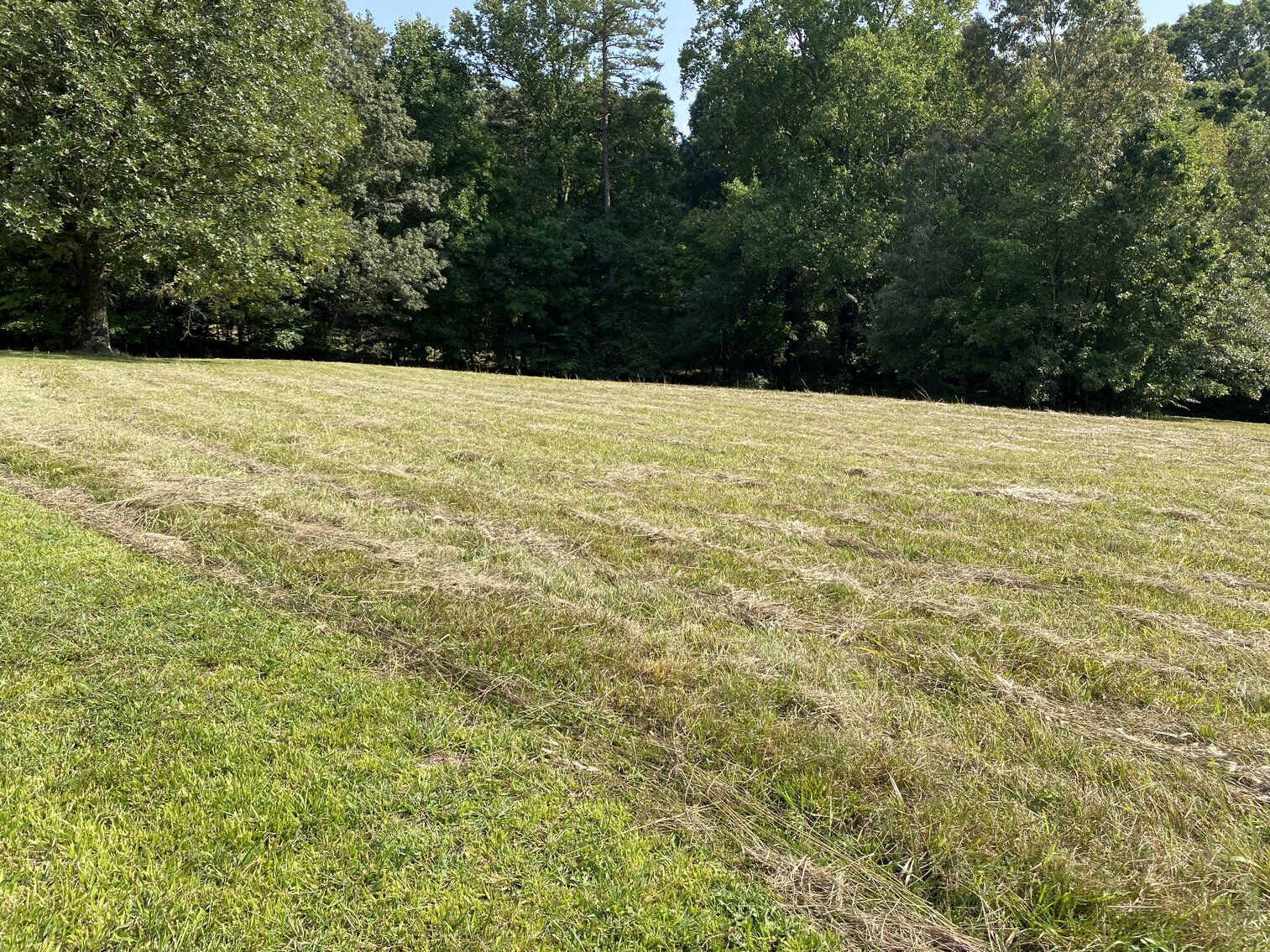 Image for Real Estate Auction - Lewisville, NC