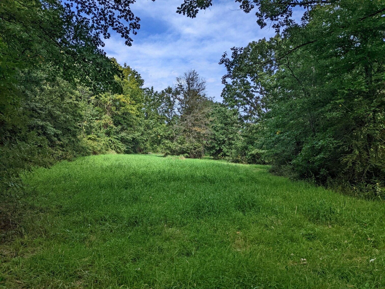 Image for 4 Bedroom 3 Bath Home On 5 Acres In Ft Loudon PA