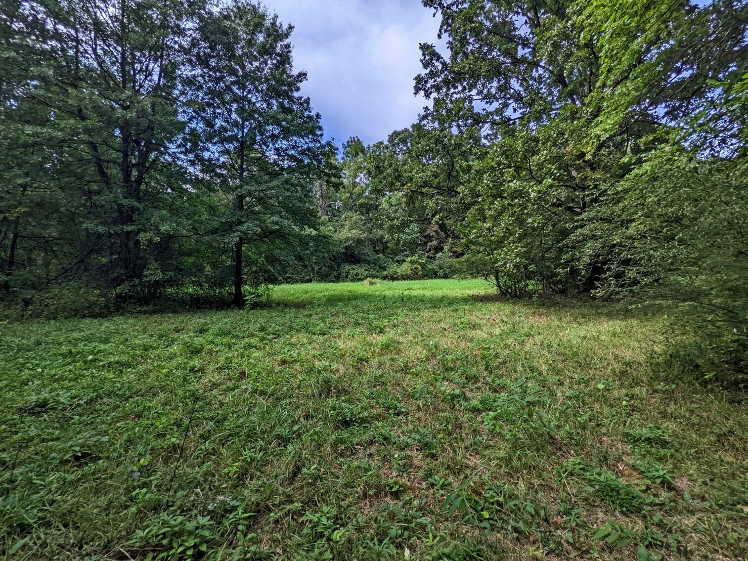 Image for 4 Bedroom 3 Bath Home On 5 Acres In Ft Loudon PA