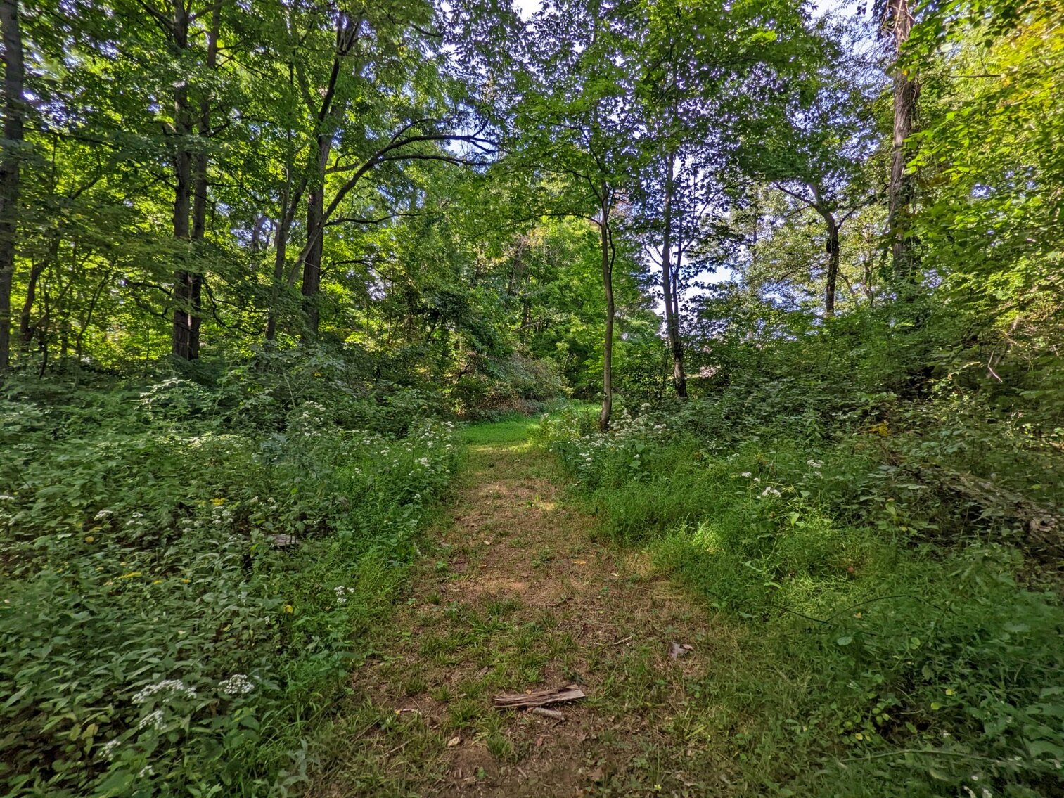 Image for 4 Bedroom 3 Bath Home On 5 Acres In Ft Loudon PA