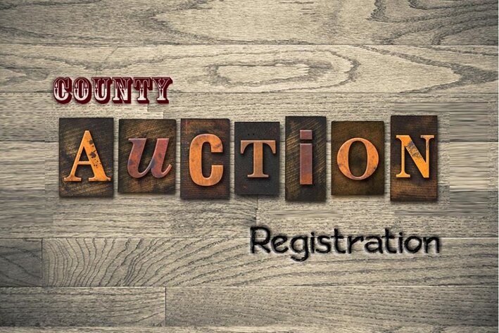 Image for City of Hampton , VA - Sale of Tax Delinquent Real Estate