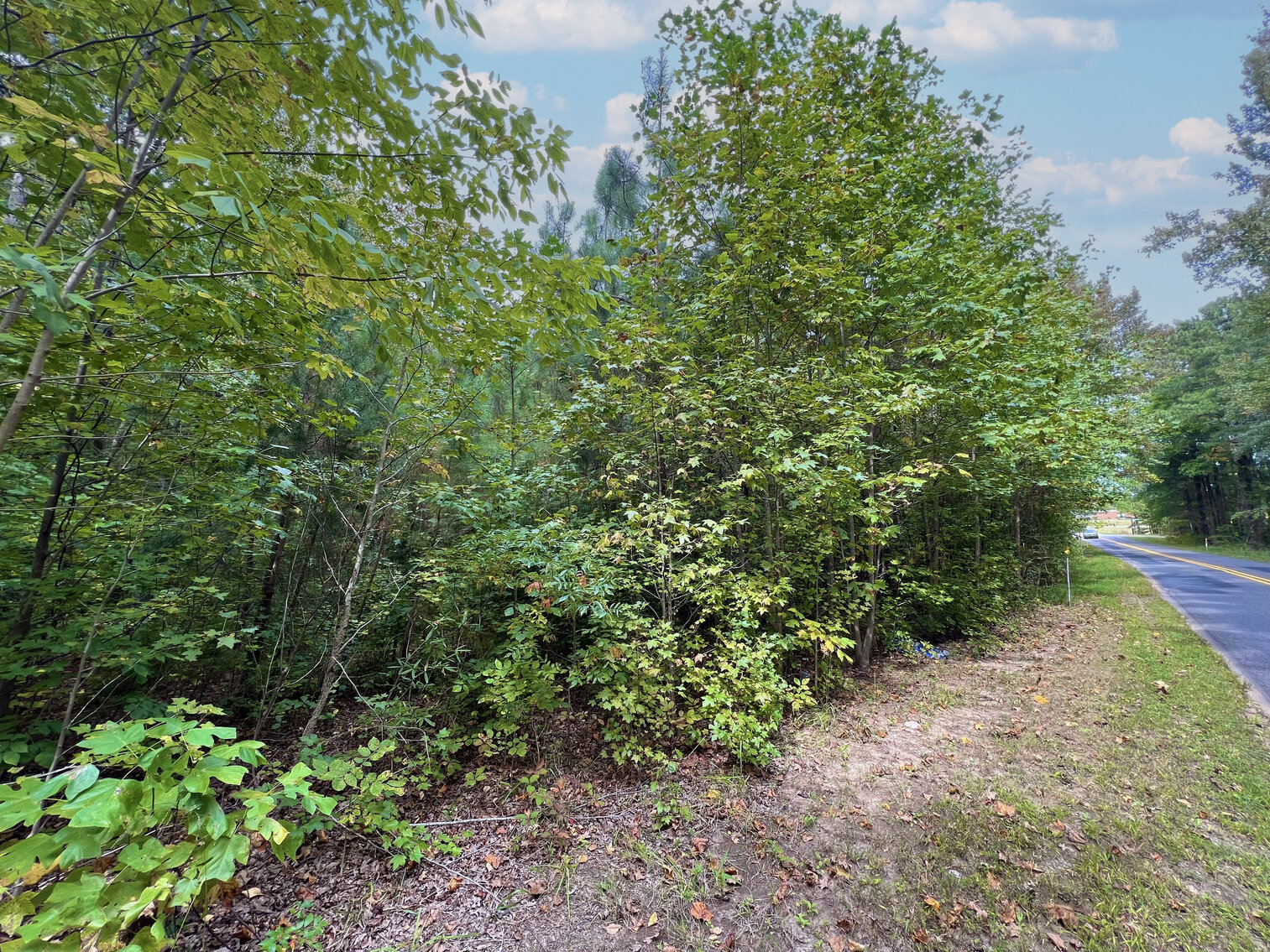 Hanover County, VA Sale of Tax Delinquent Real Estate