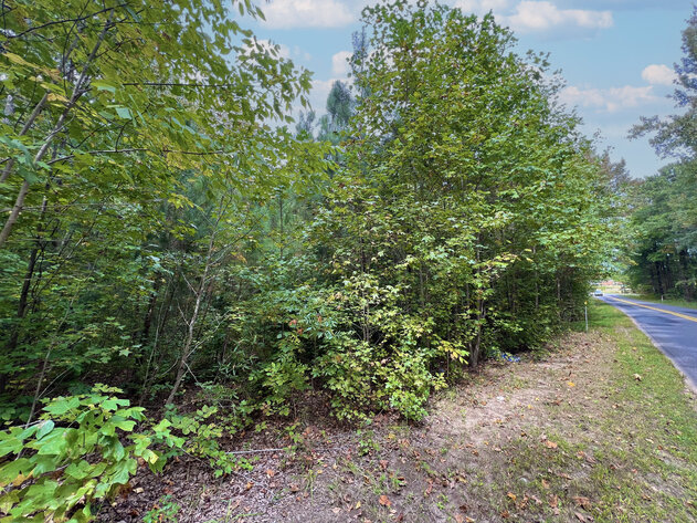 Image for Hanover County, VA Sale of Tax Delinquent Real Estate