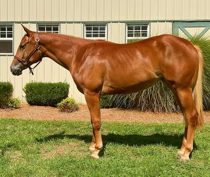 Image for 56th Annual Congress Super Sale - October 15th Columbus, Ohio