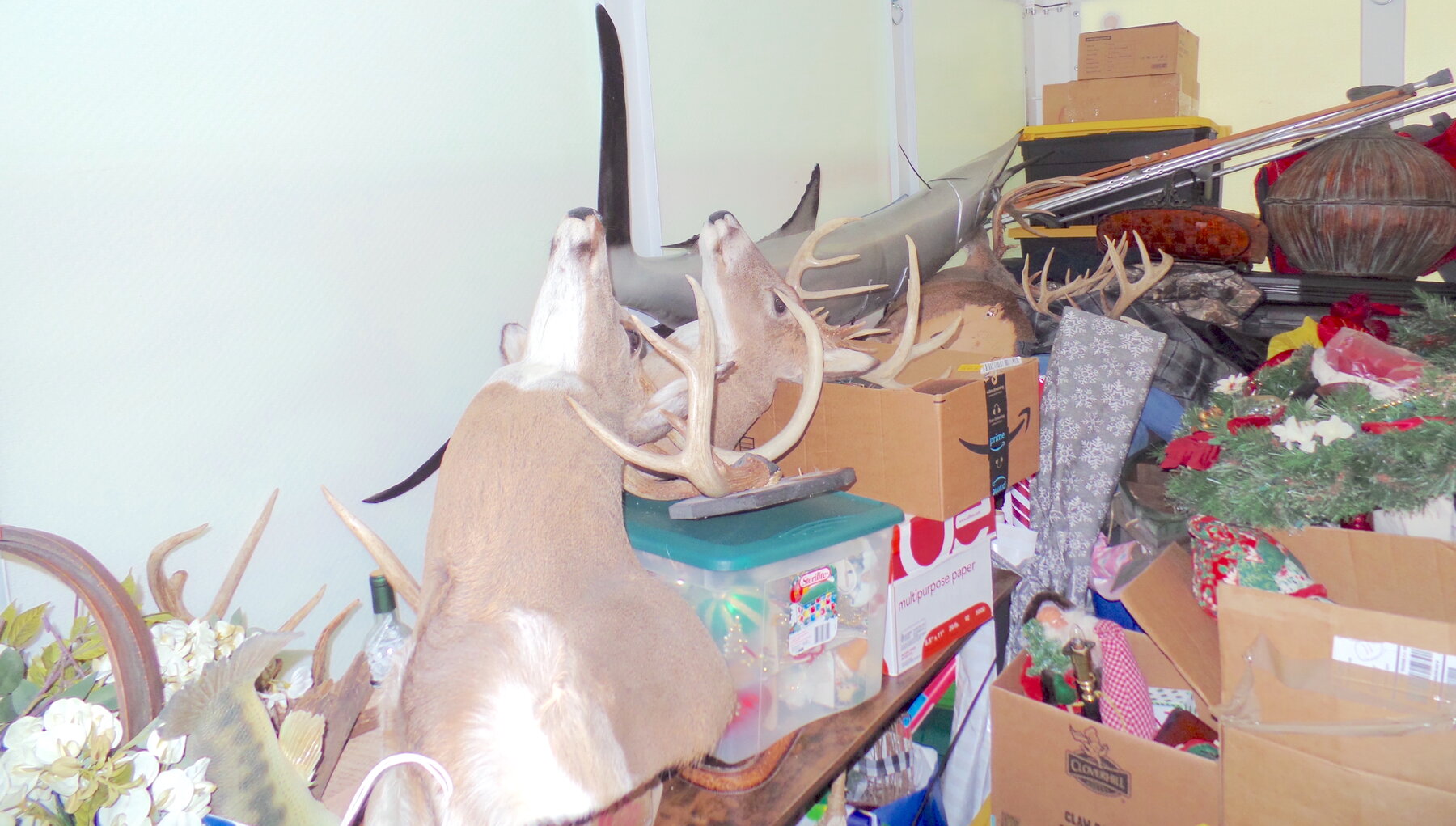 Image for FARM AUCTION