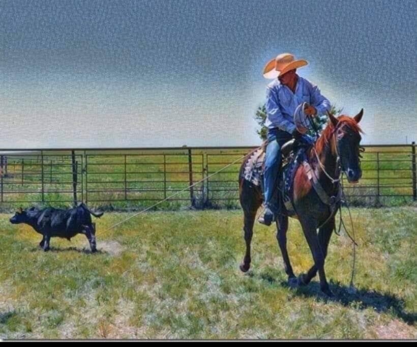 Image for Central Livestock Horse Sale - October 8th - South Hutchinson, Kansas