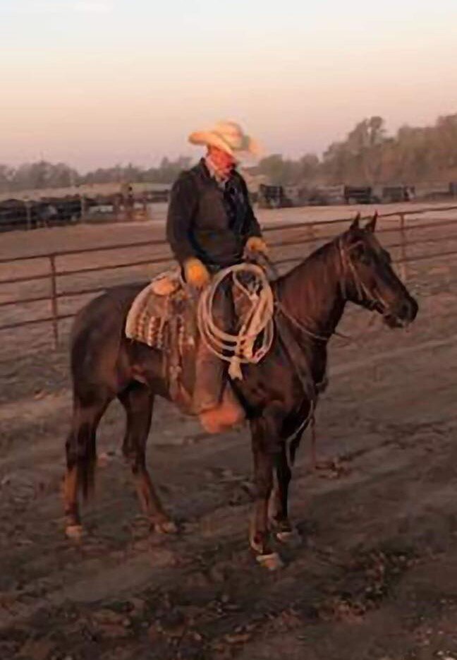 Image for Central Livestock Horse Sale - October 8th - South Hutchinson, Kansas