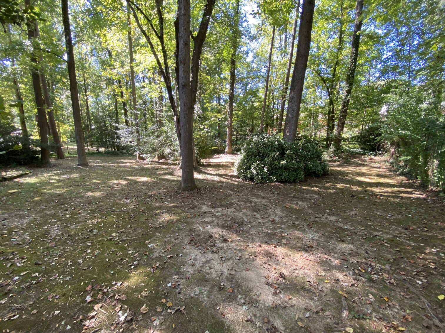 Image for 1330 Traway Drive Richmond VA (North Chesterfield)
