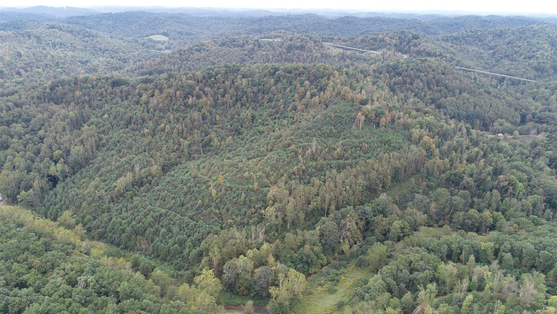 84 Acres Selling to the Highest Bidder