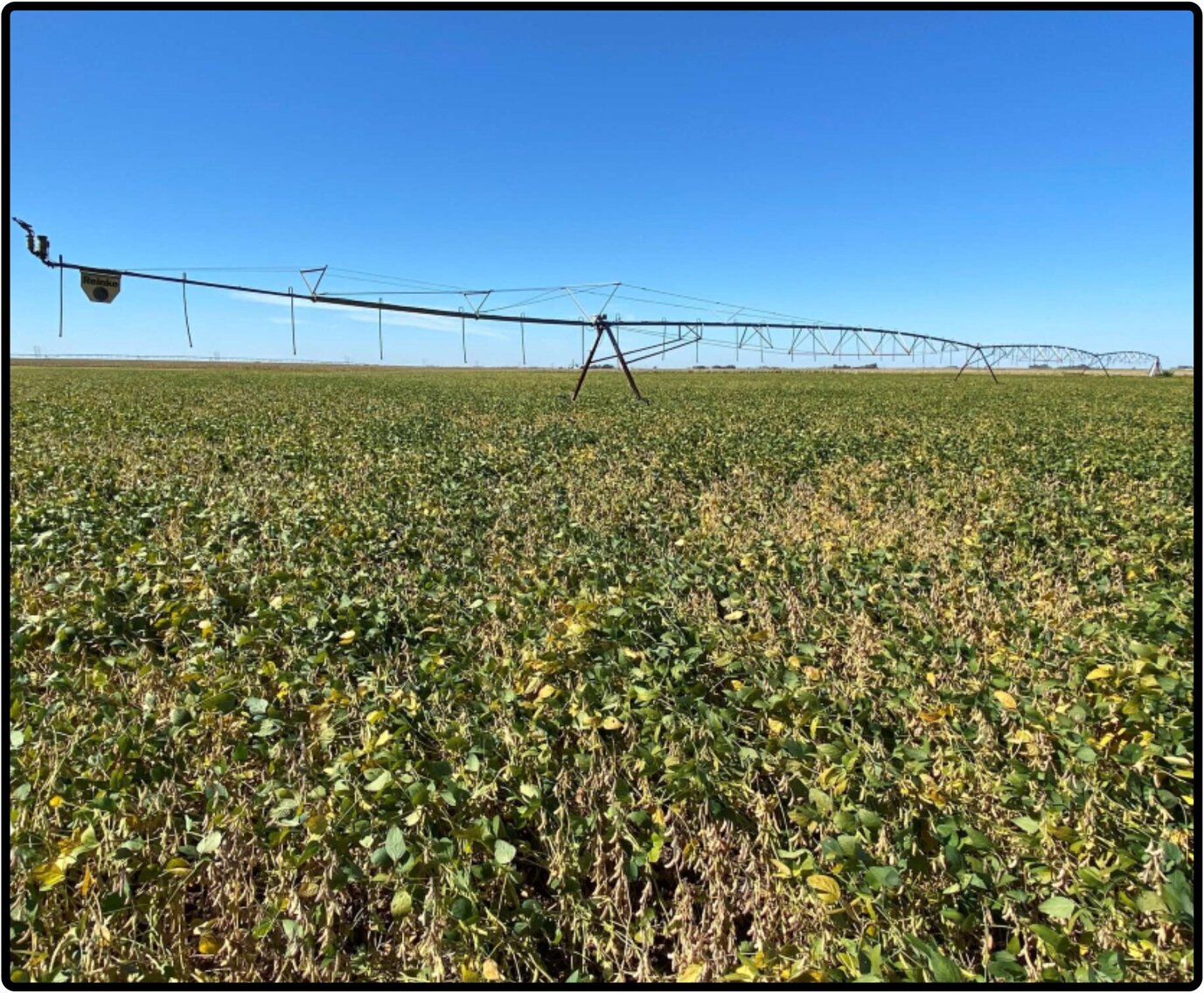 Image for Closed - Kearney Co., NE - 157.84 Ac., m/l (090-0221-01)