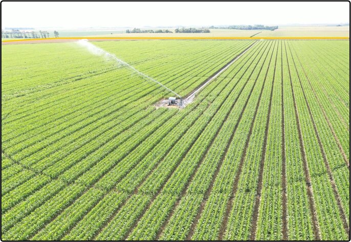 Image for Closed - Hamilton Co., NE - 166.04 Ac., m/l (090-0222-01)