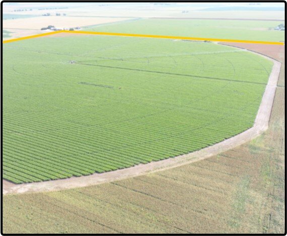 Image for Closed - Hamilton Co., NE - 166.04 Ac., m/l (090-0222-01)