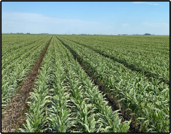 Image for Closed - Hamilton Co., NE - 166.04 Ac., m/l (090-0222-01)