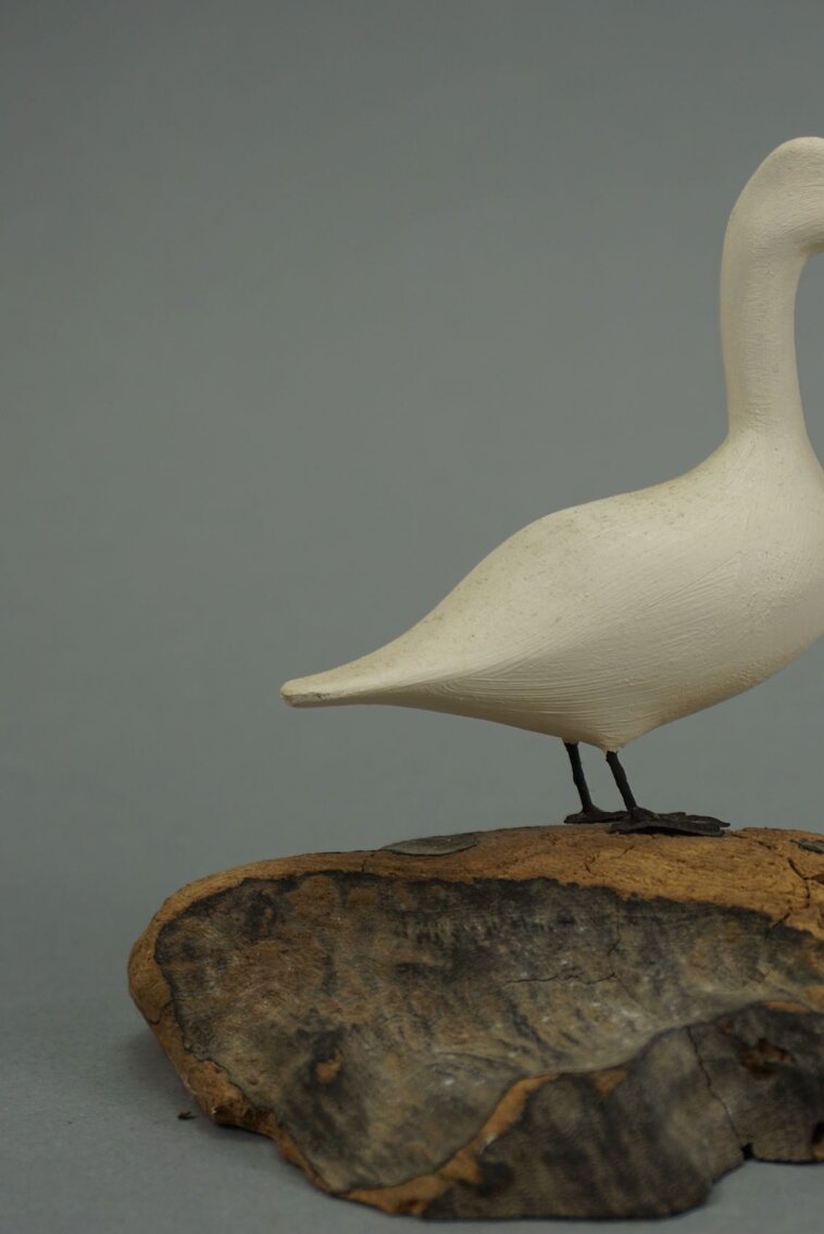 Image for October Online Sportsman's Auction 2022