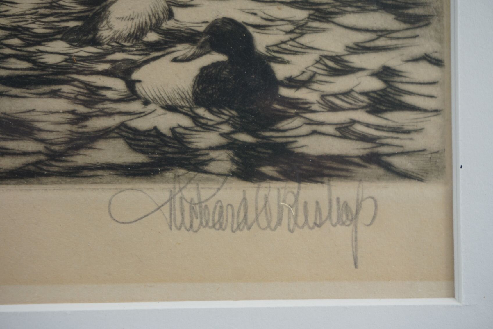 Image for October Online Sportsman's Auction 2022