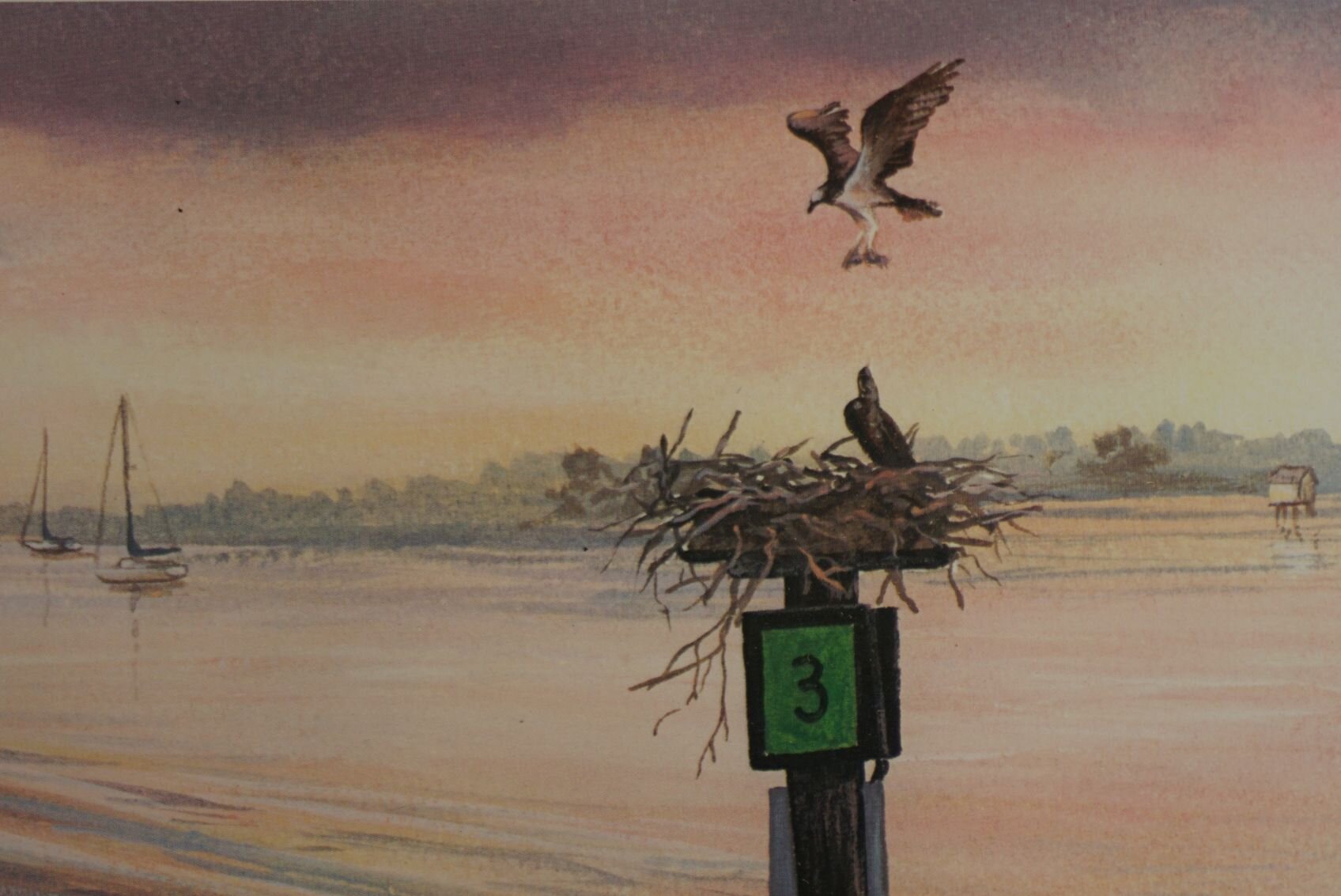 Image for October Online Sportsman's Auction 2022