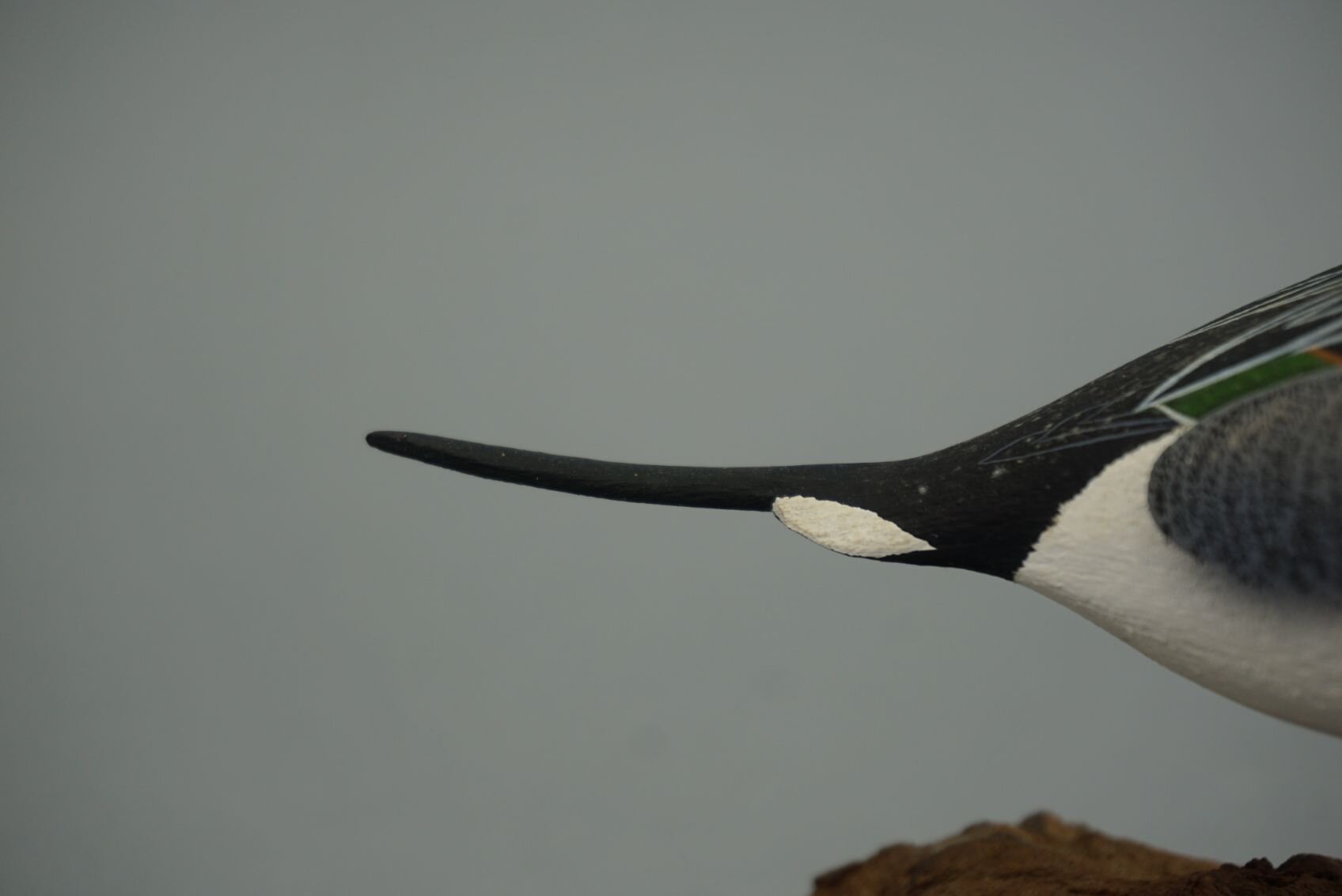 Image for October Online Sportsman's Auction 2022